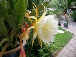 M&uuml;nchen Allach-Untermenzing